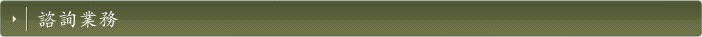 諮詢業務