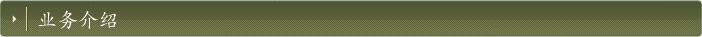 业务介绍