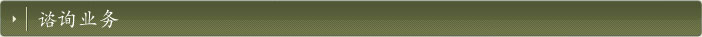 谘询业务