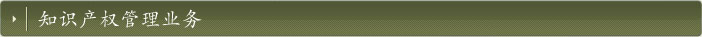 知识产权管理业务