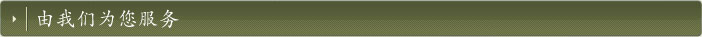 由我们为您服务