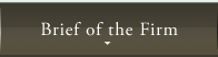 Brief of the Firm