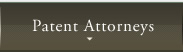 Patent Attorneys