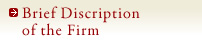 Brief Discription of the Firm