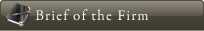 Brief of the Firm