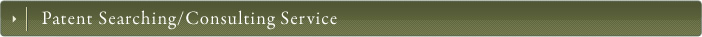 Patent Searching/Consulting Service