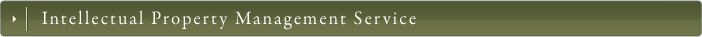 Intellectual Property Management Service